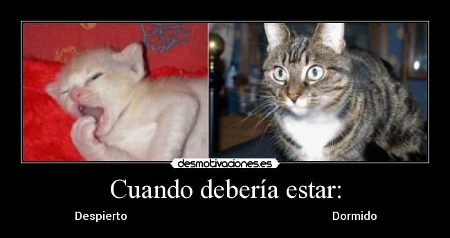 Cuando debería estar: - Despierto Dormido