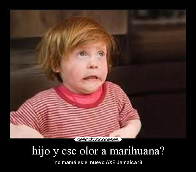hijo y ese olor a marihuana? -