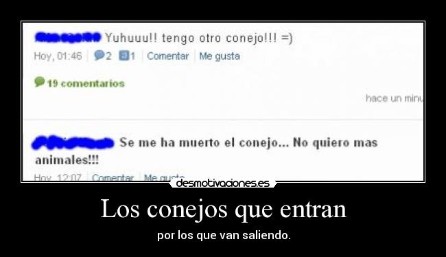 Los conejos que entran - por los que van saliendo.