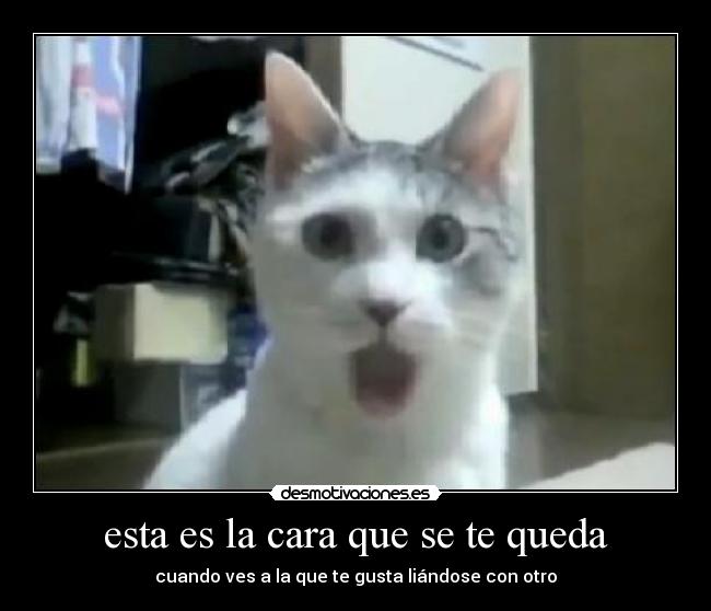 esta es la cara que se te queda - cuando ves a la que te gusta liándose con otro