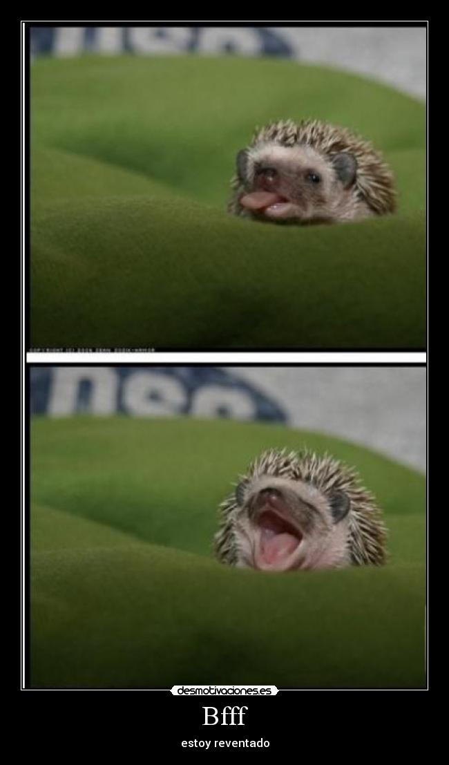Bfff - estoy reventado