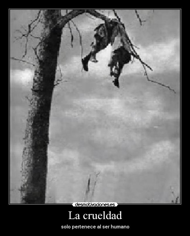 La crueldad - solo pertenece al ser humano