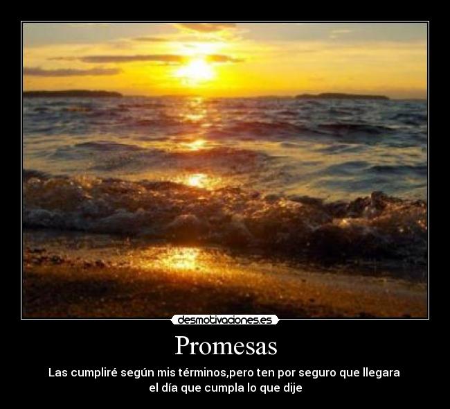 carteles promesas promesas desmotivaciones