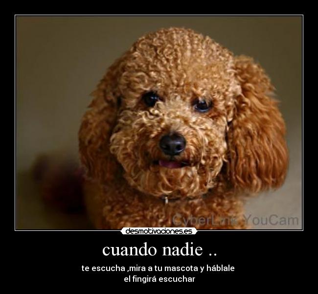 cuando nadie .. -