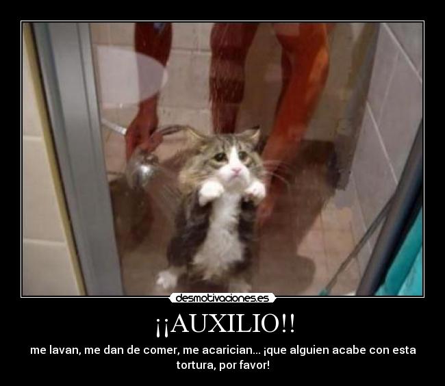 ¡¡AUXILIO!! - 