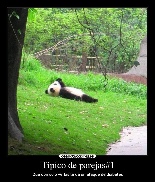 Típico de parejas#1 - Que con solo verlas te da un ataque de diabetes