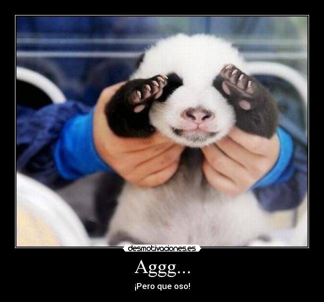 Aggg... - ¡Pero que oso!