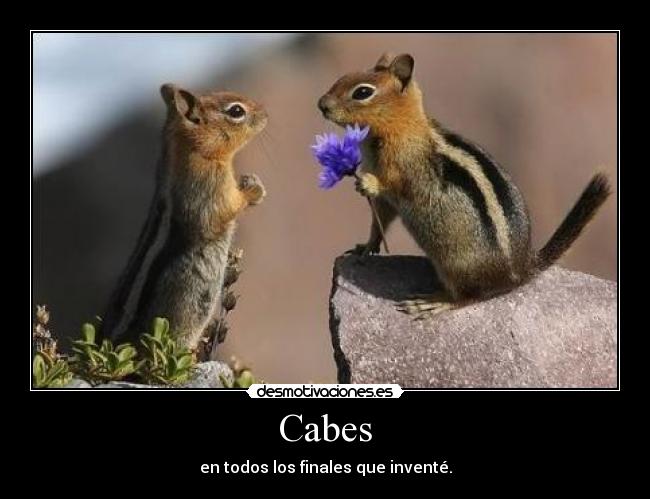 Cabes - en todos los finales que inventé.
