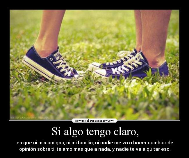 Si algo tengo claro, - es que ni mis amigos, ni mi familia, ni nadie me va a hacer cambiar de
opinión sobre ti, te amo mas que a nada, y nadie te va a quitar eso.