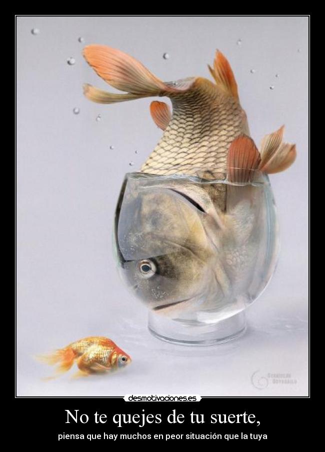 No te quejes de tu suerte, - 