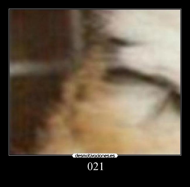 carteles tigretoneh clanng clantigretoneh desmotivaciones