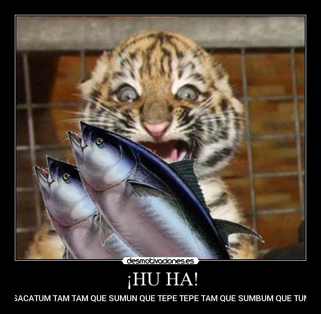 ¡HU HA! -