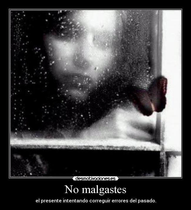 No malgastes -