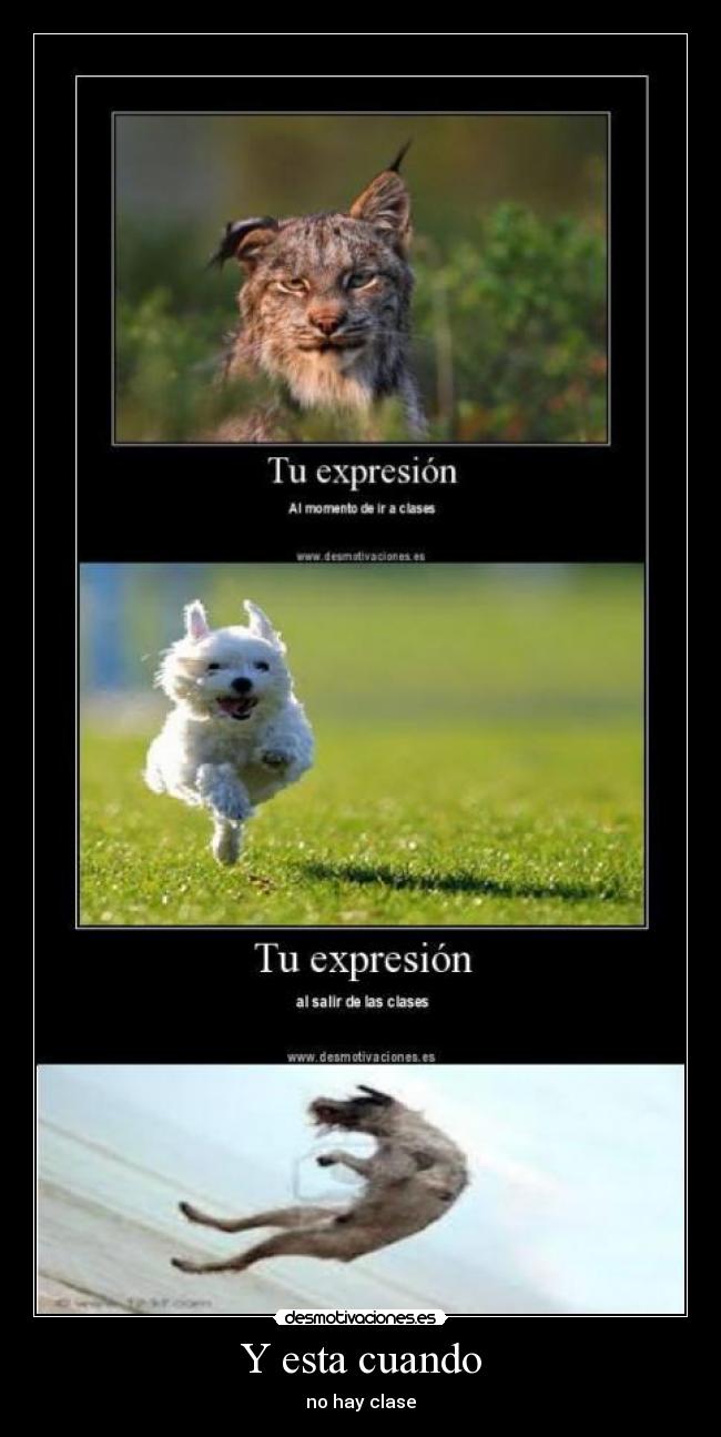 Y esta cuando - no hay clase