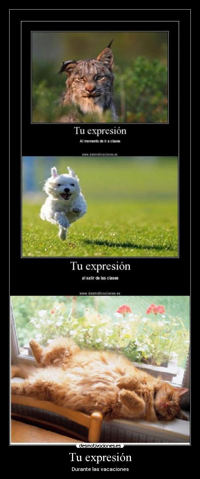 Tu expresión - Durante las vacaciones