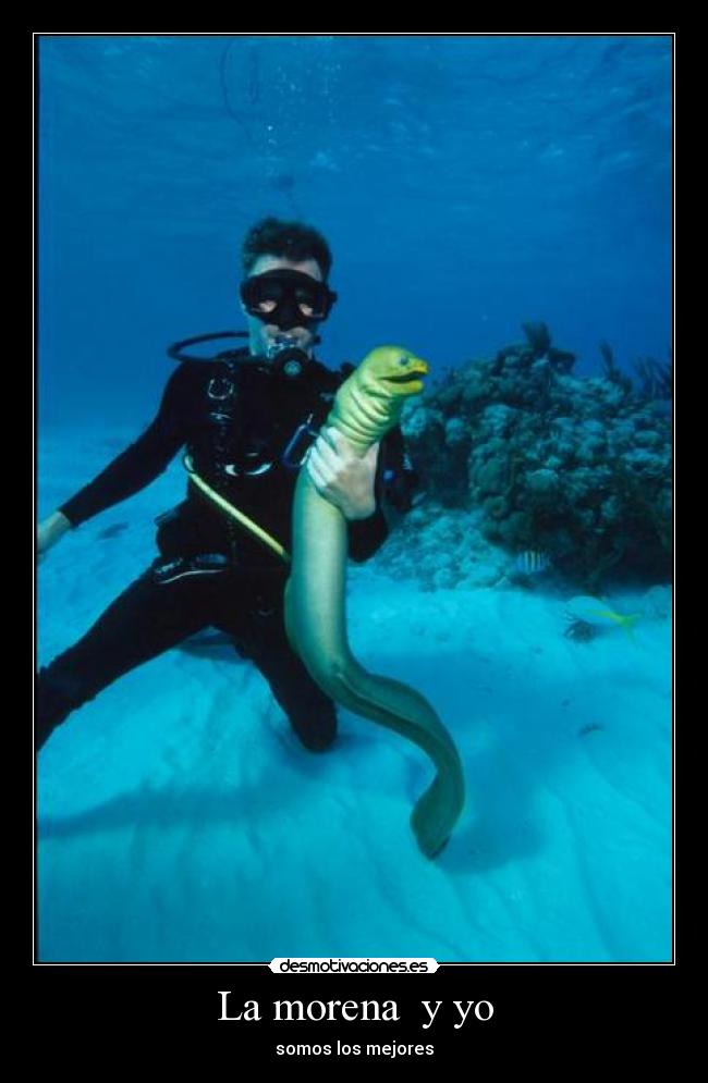 La morena y yo -