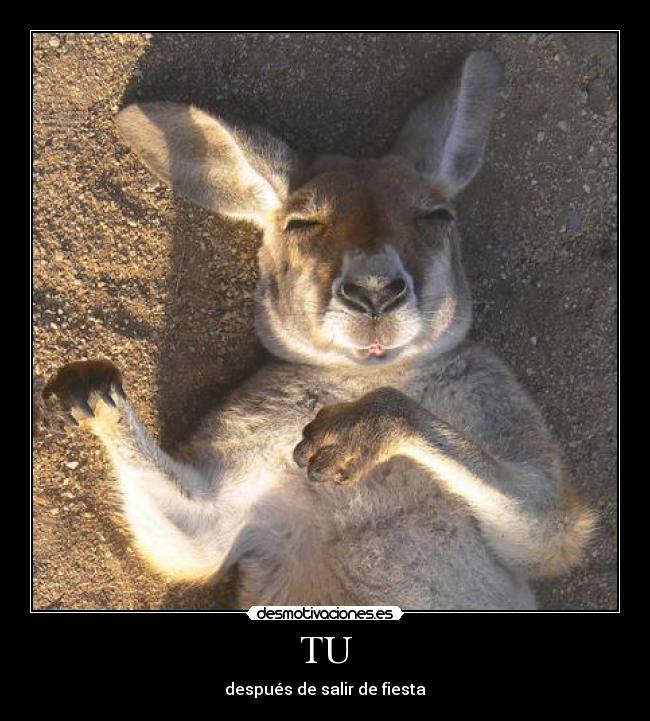 TU - después de salir de fiesta