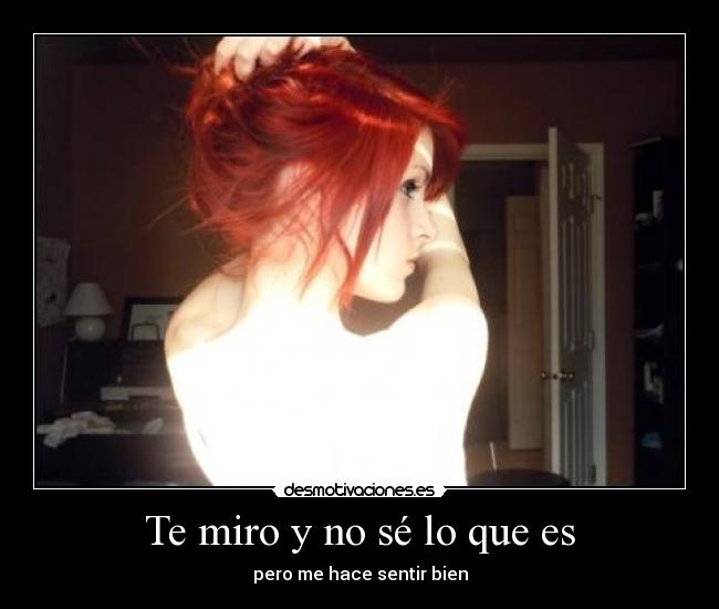 carteles dont like pelirojas love pelirojas desmotivaciones