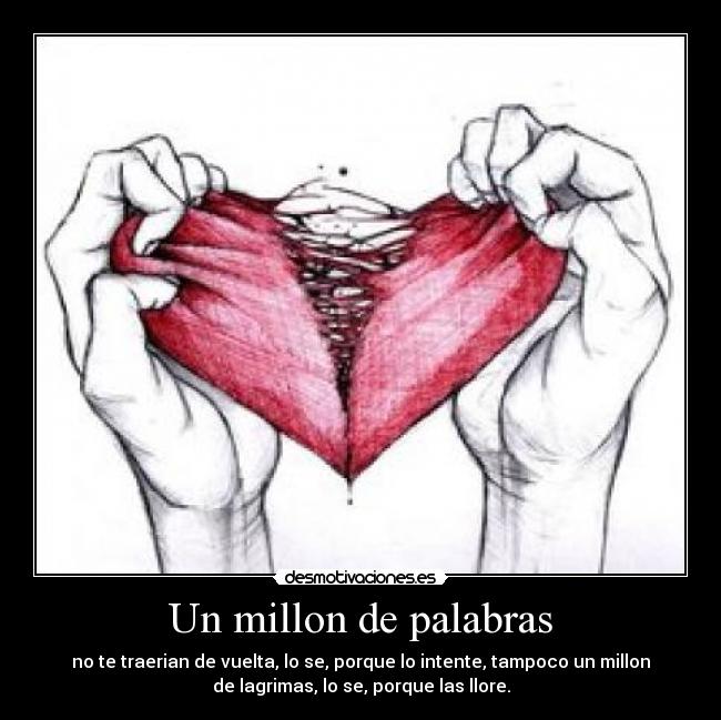 Un millon de palabras -