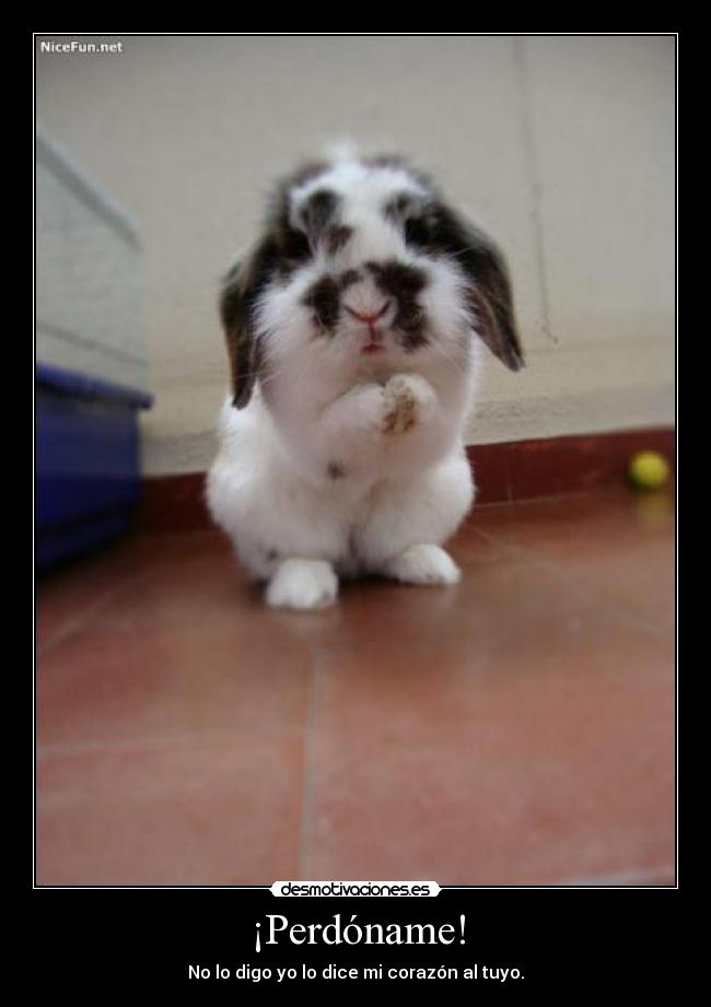 ¡Perdóname! -