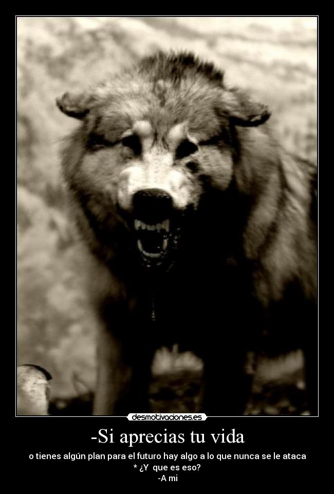 -Si aprecias tu vida - o tienes algún plan para el futuro hay algo a lo que nunca se le ataca
* ¿Y  que es eso?
-A mi