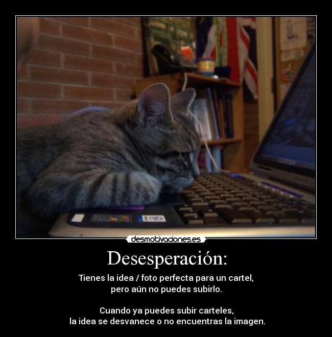 Desesperación: -