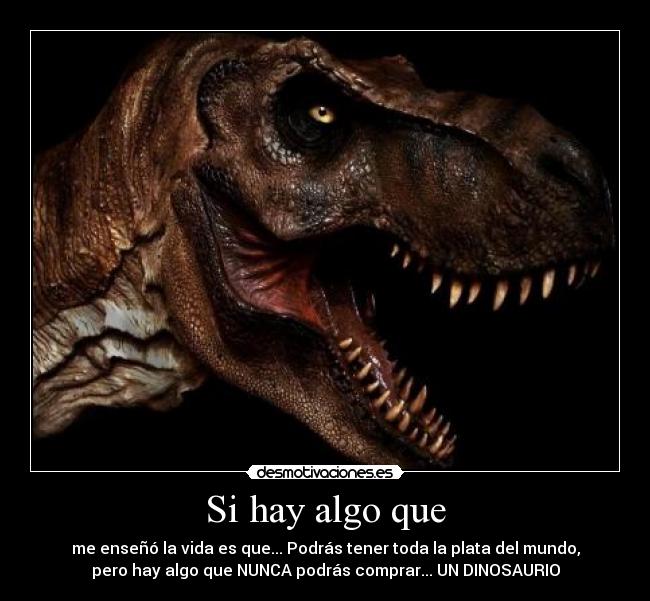 carteles hay algo que desmotivaciones