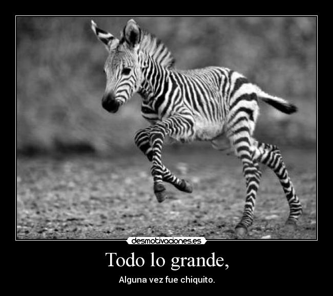 Todo lo grande, - Alguna vez fue chiquito.