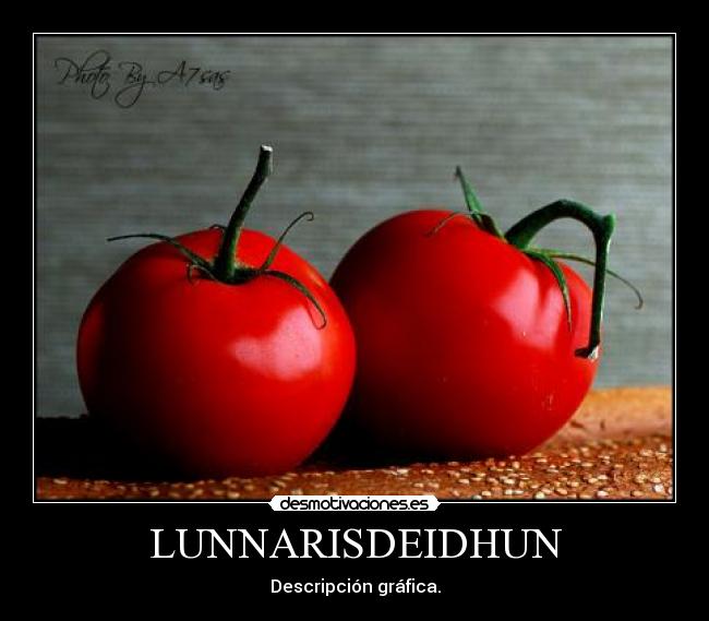 LUNNARISDEIDHUN - Descripción gráfica.