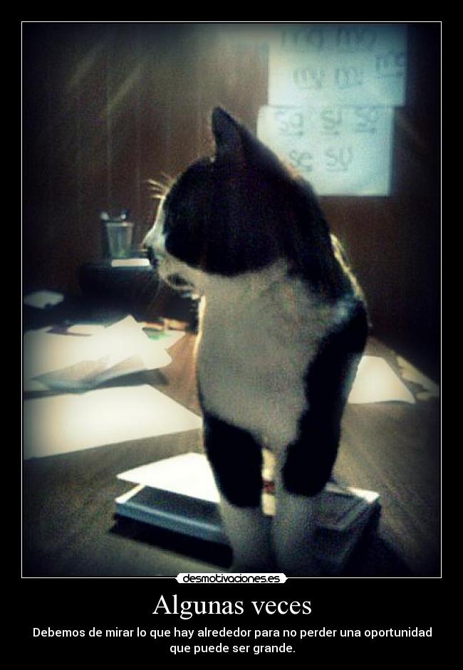 Algunas veces - Debemos de mirar lo que hay alrededor para no perder una oportunidad
que puede ser grande.