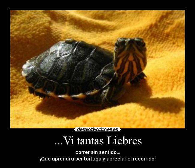 ...Vi tantas Liebres - correr sin sentido...
¡Que aprendi a ser tortuga y apreciar el recorrido!