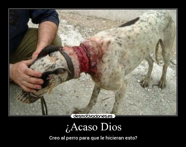 ¿Acaso Dios - Creo al perro para que le hicieran esto?