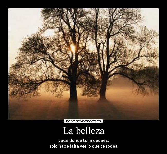 La belleza - 