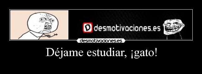 carteles desmotivaciones gatosyu troll face estudiar desmotivaciones