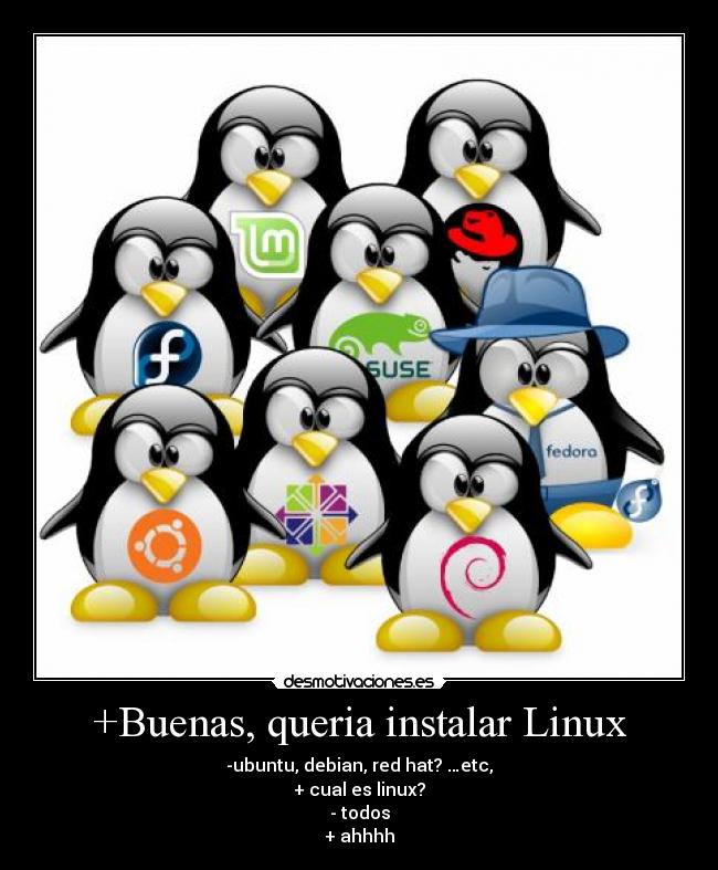 +Buenas, queria instalar Linux - -ubuntu, debian, red hat? …etc,
+ cual es linux?
- todos
+ ahhhh