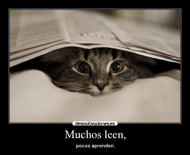 Muchos leen, - pocos aprenden.