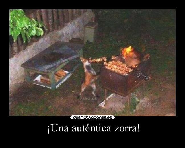 ¡Una auténtica zorra! - 