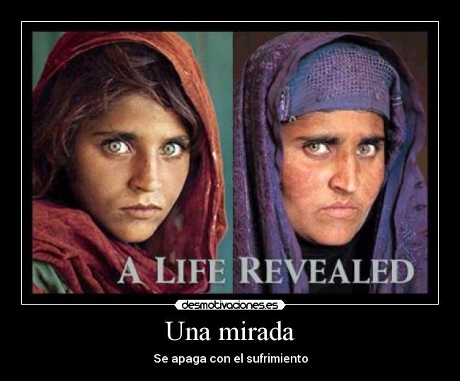 carteles sharbat gula huerfana afgana desmotivaciones