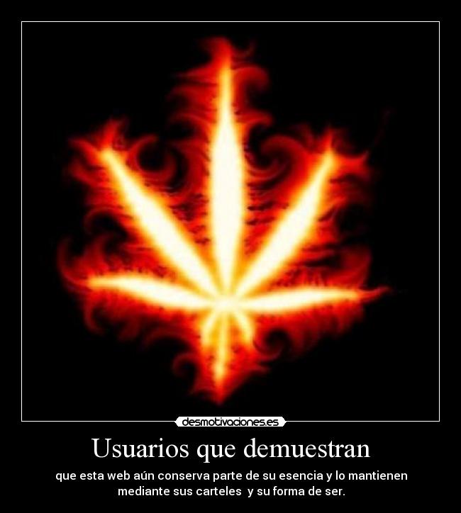 Usuarios que demuestran -