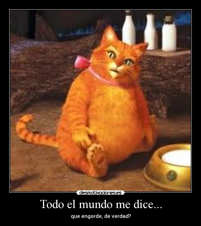 Todo el mundo me dice... - que engorde, de verdad?