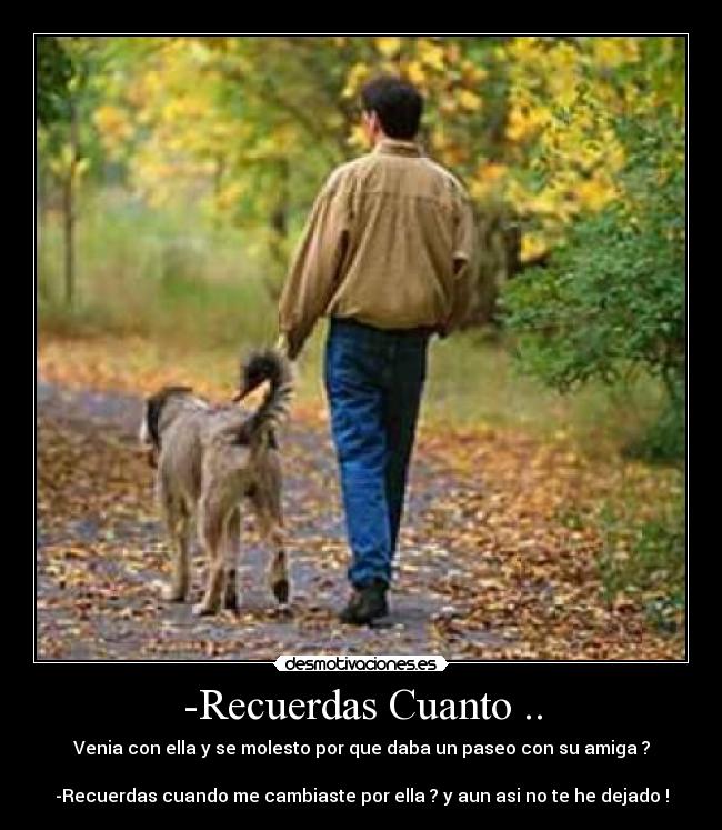 carteles amigos algunos saben significado desmotivaciones