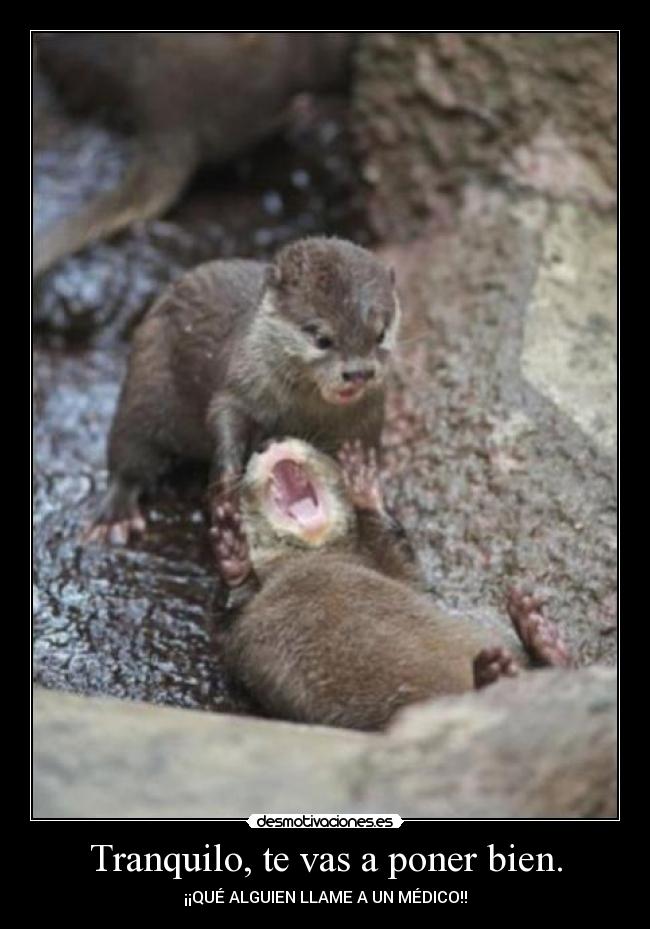 Tranquilo, te vas a poner bien. - ¡¡QUÉ ALGUIEN LLAME A UN MÉDICO!!