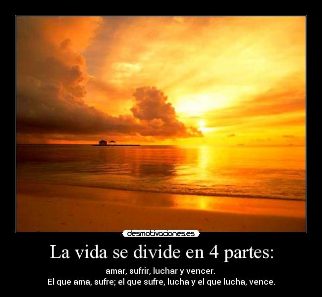 La vida se divide en 4 partes: -