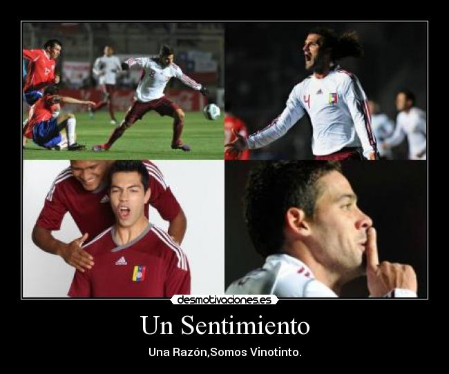 Un Sentimiento - Una Razón,Somos Vinotinto.