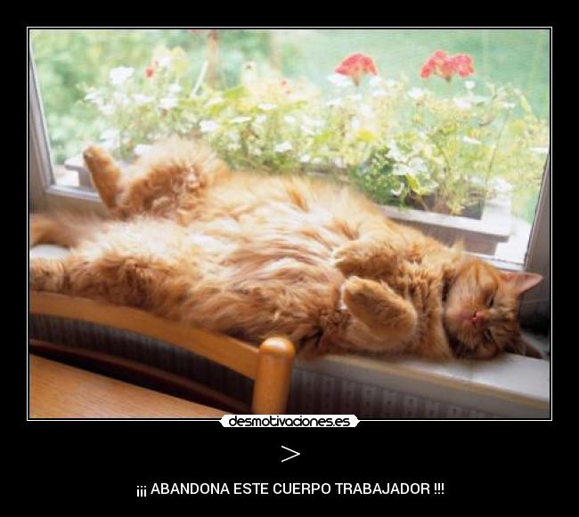 carteles  desmotivaciones