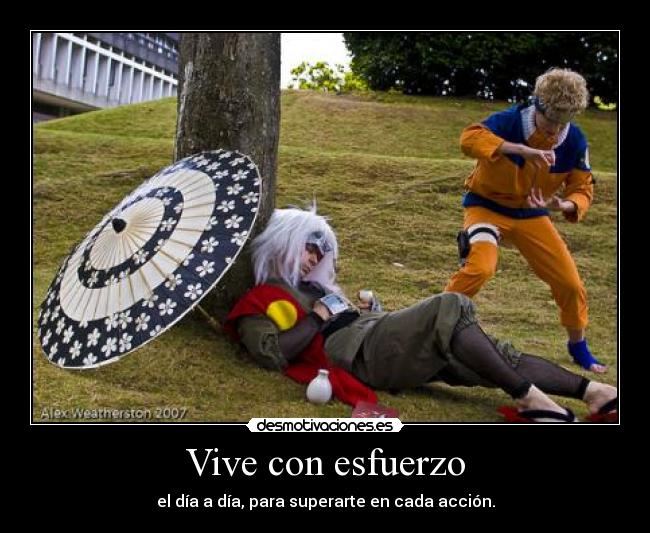 carteles sora desmotivaciones