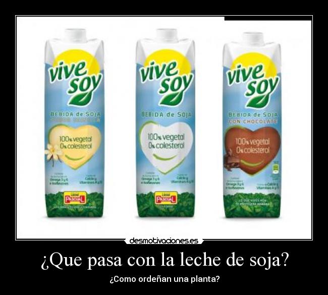 ¿Que pasa con la leche de soja? - ¿Como ordeñan una planta?