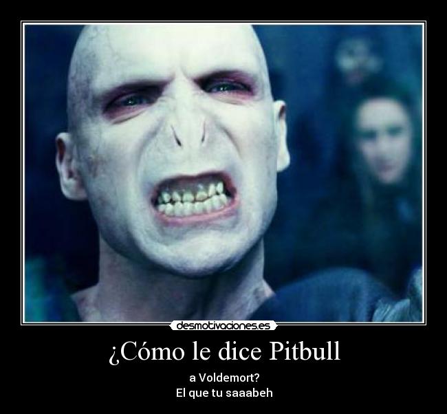 ¿Cómo le dice Pitbull - a Voldemort?
El que tu saaabeh
