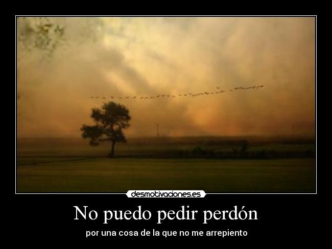 No puedo pedir perdón -