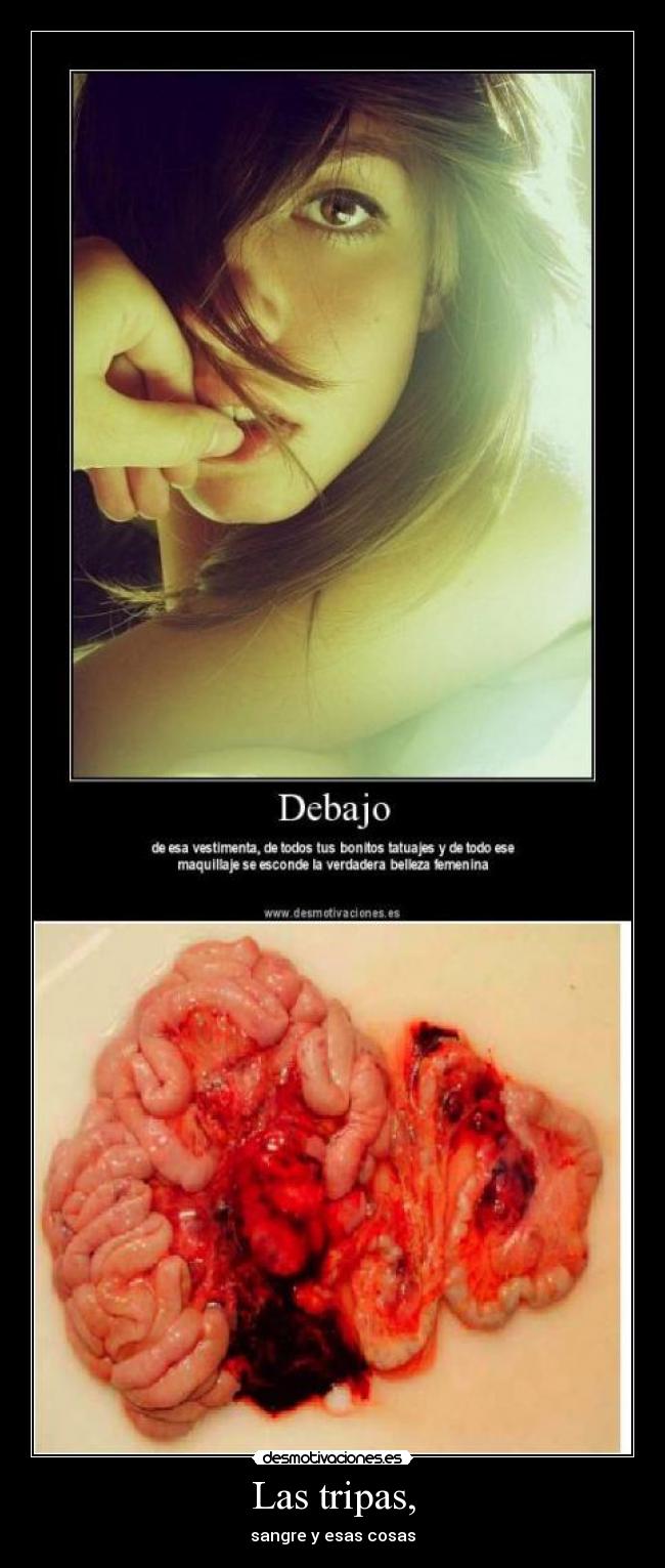 Las tripas, -